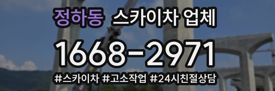 정하동 스카이차 업체
