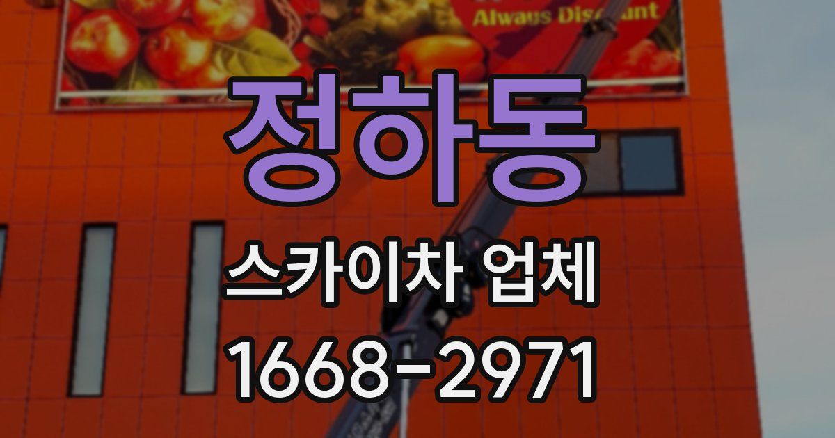 정하동 스카이차 업체