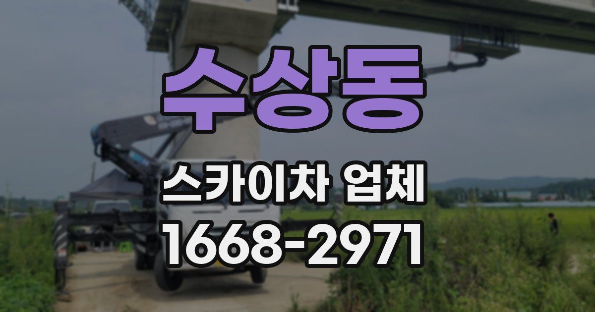 수상동 스카이차 업체