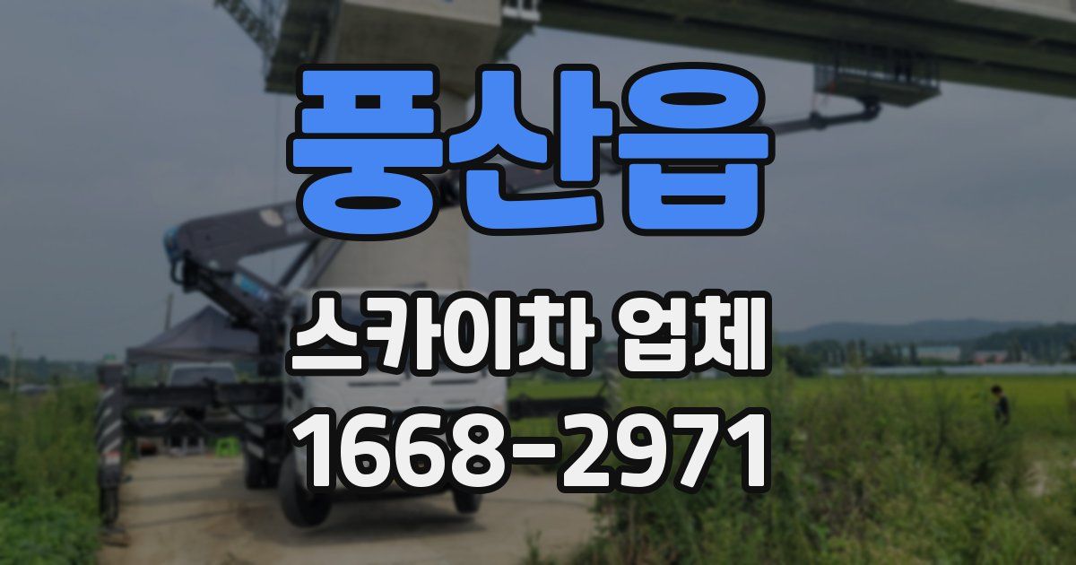 풍산읍 스카이차 업체