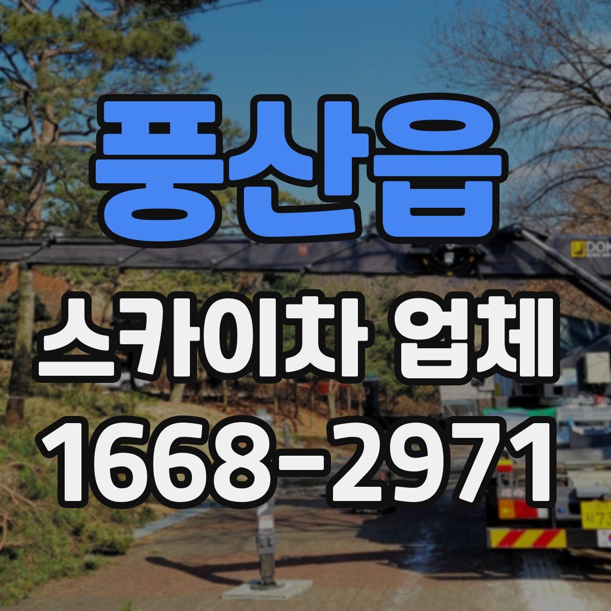 풍산읍 스카이차 업체