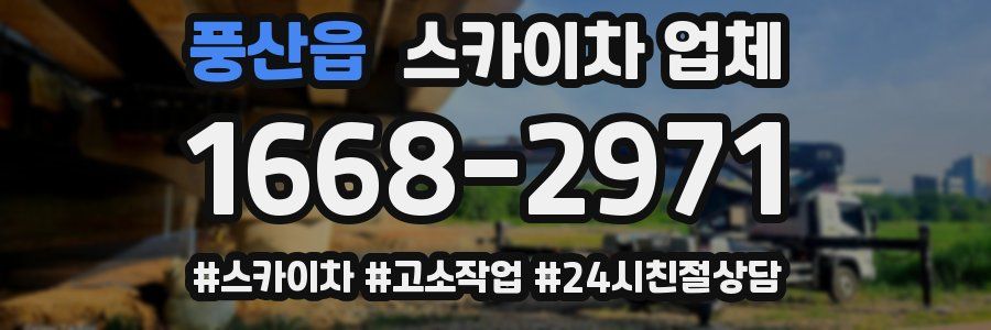 풍산읍 스카이차 업체