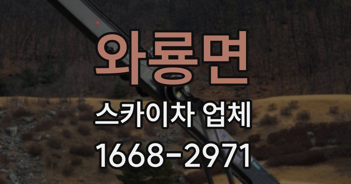 와룡면 스카이차 업체