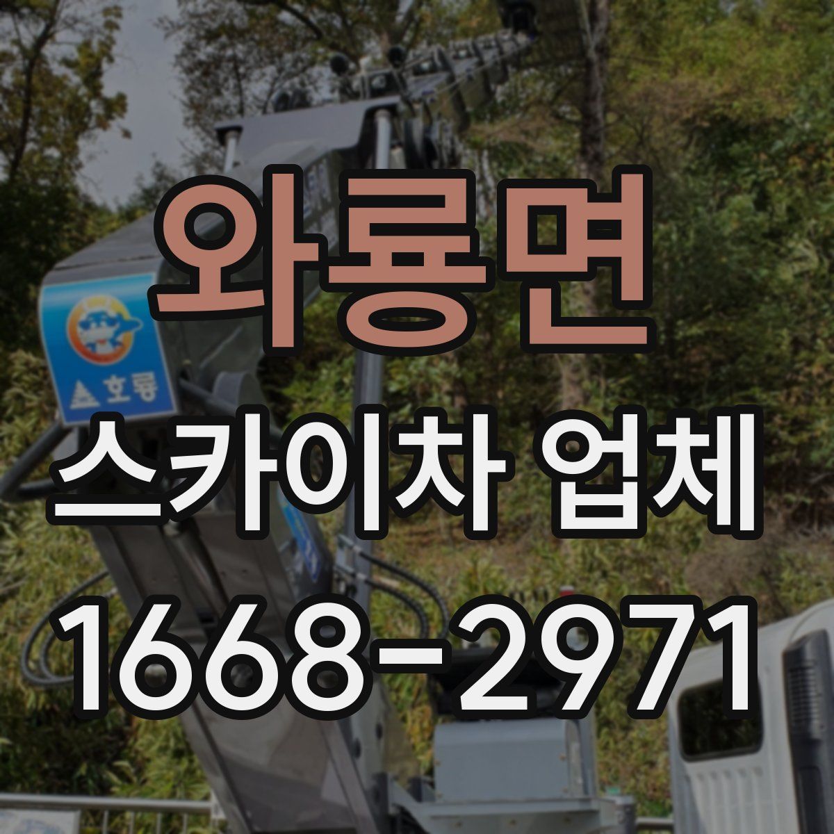 와룡면 스카이차 업체