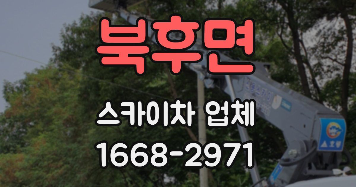북후면 스카이차 업체