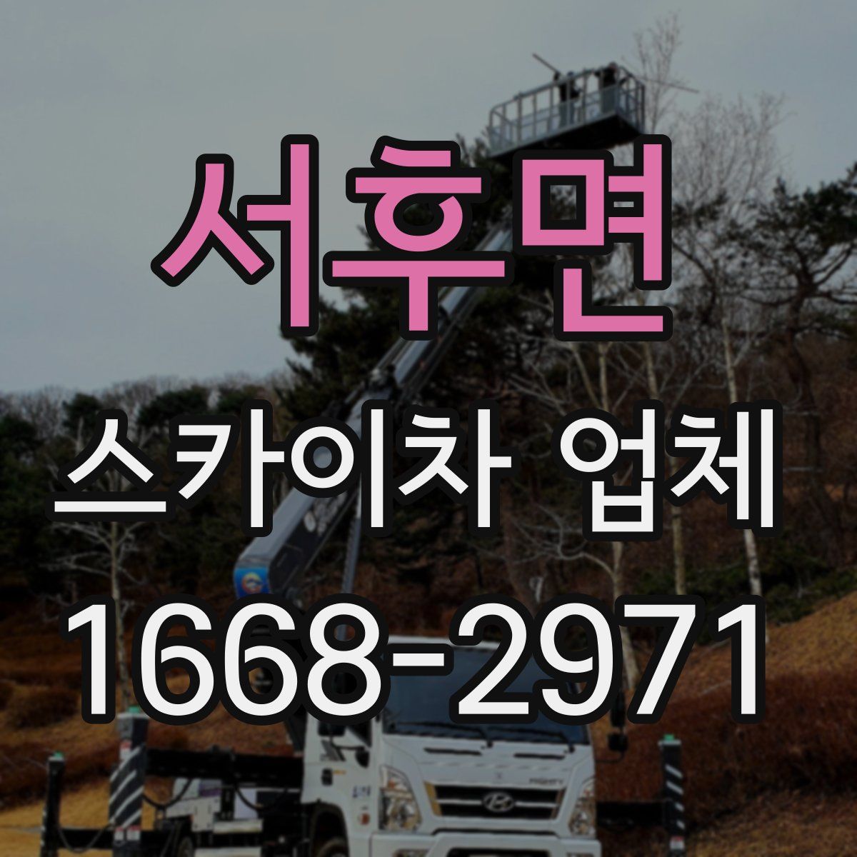 서후면 스카이차 업체