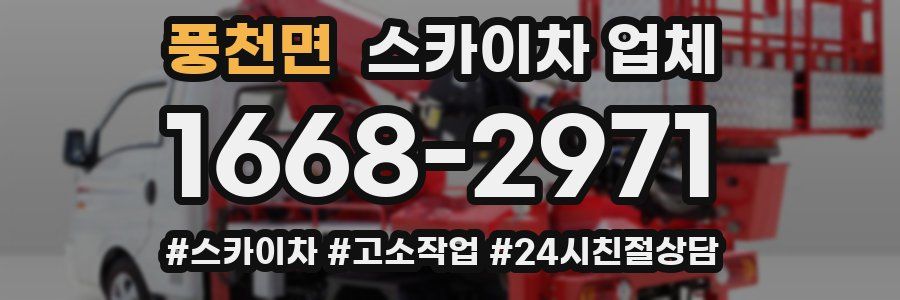 풍천면 스카이차 업체