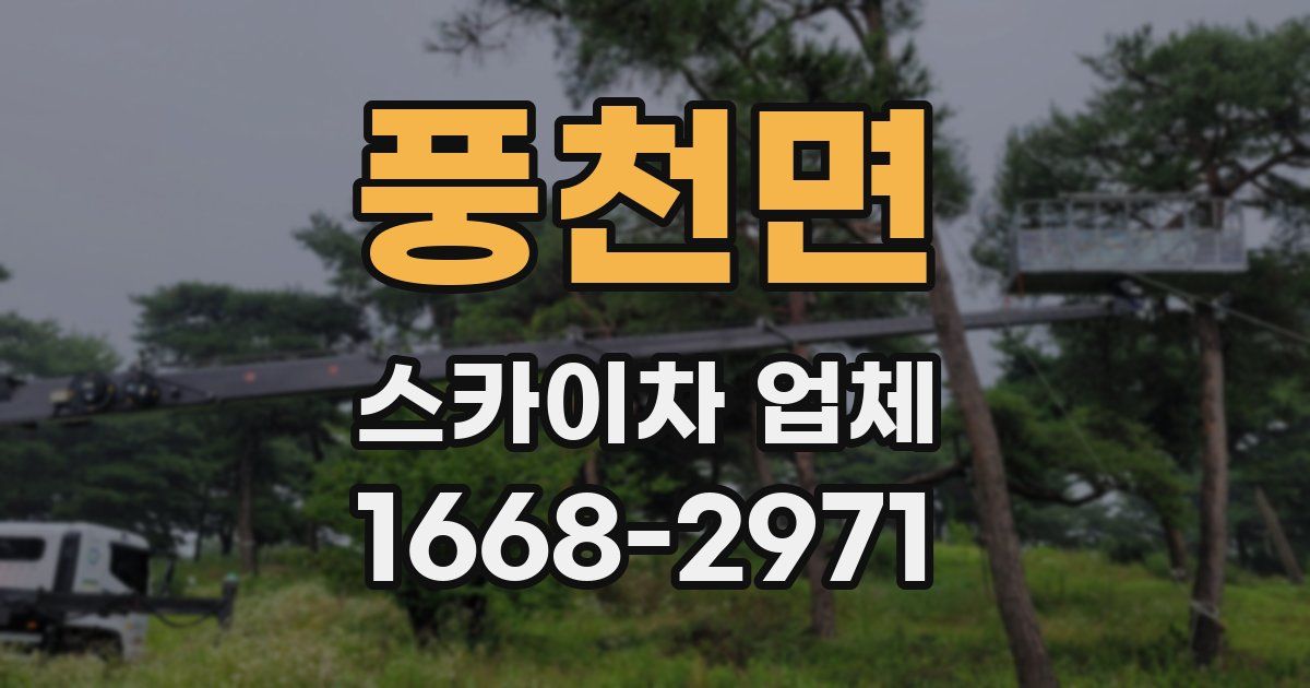 풍천면 스카이차 업체
