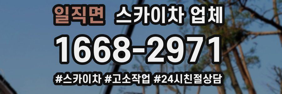 일직면 스카이차 업체