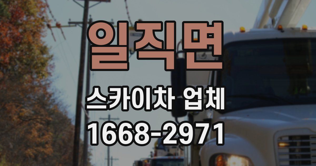 일직면 스카이차 업체
