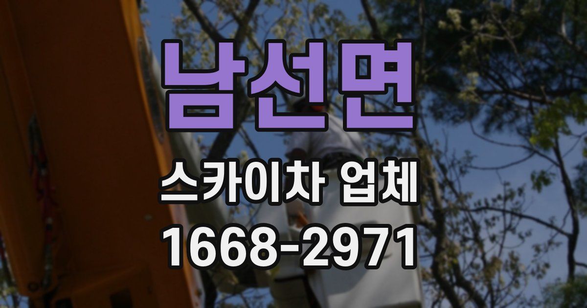 남선면 스카이차 업체