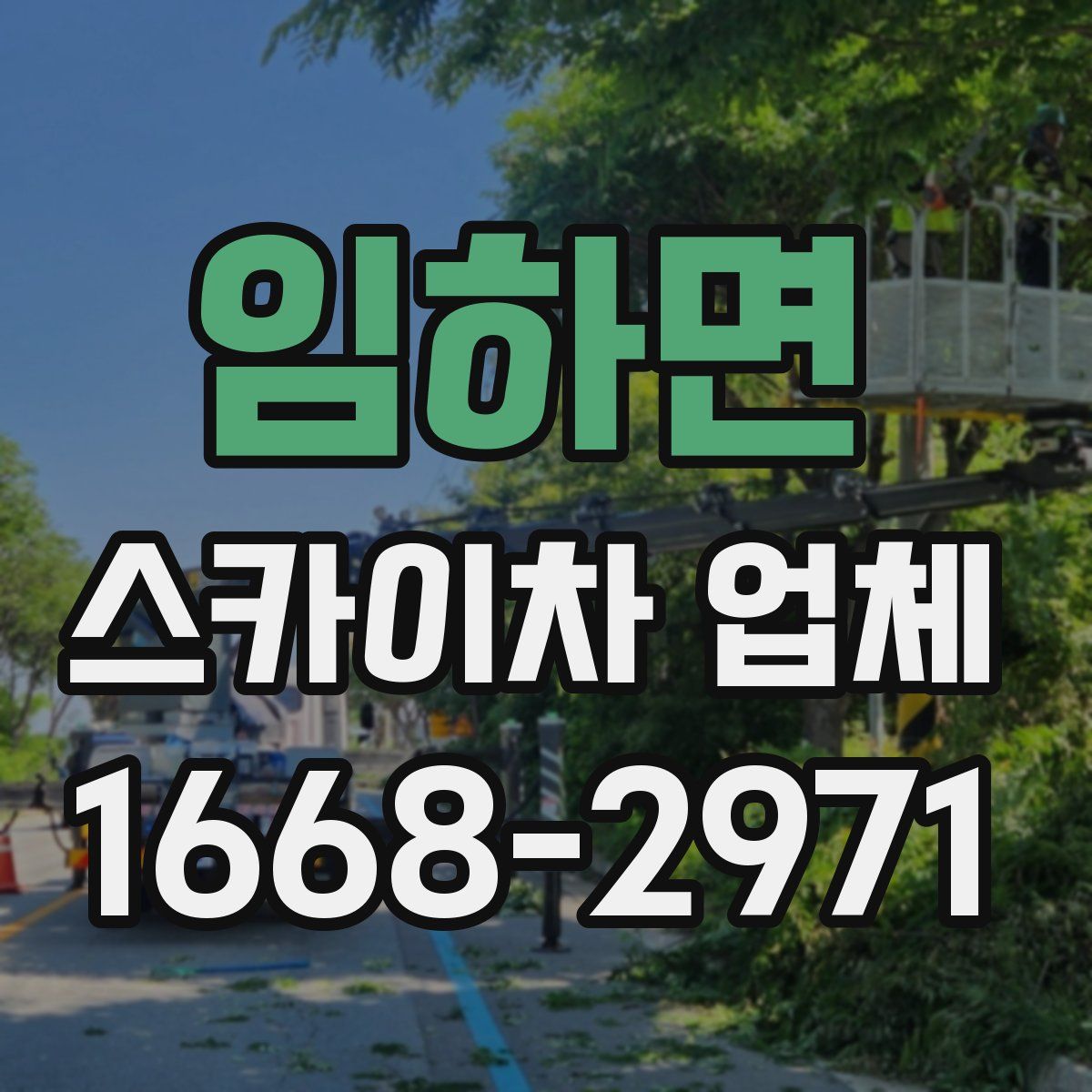 임하면 스카이차 업체