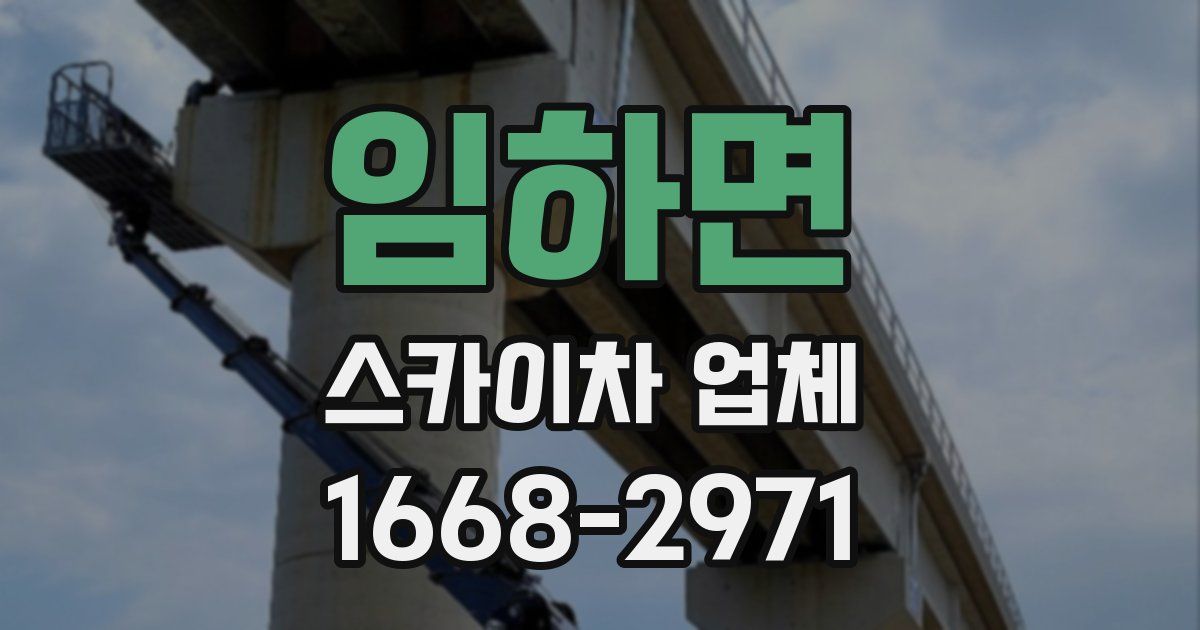 임하면 스카이차 업체