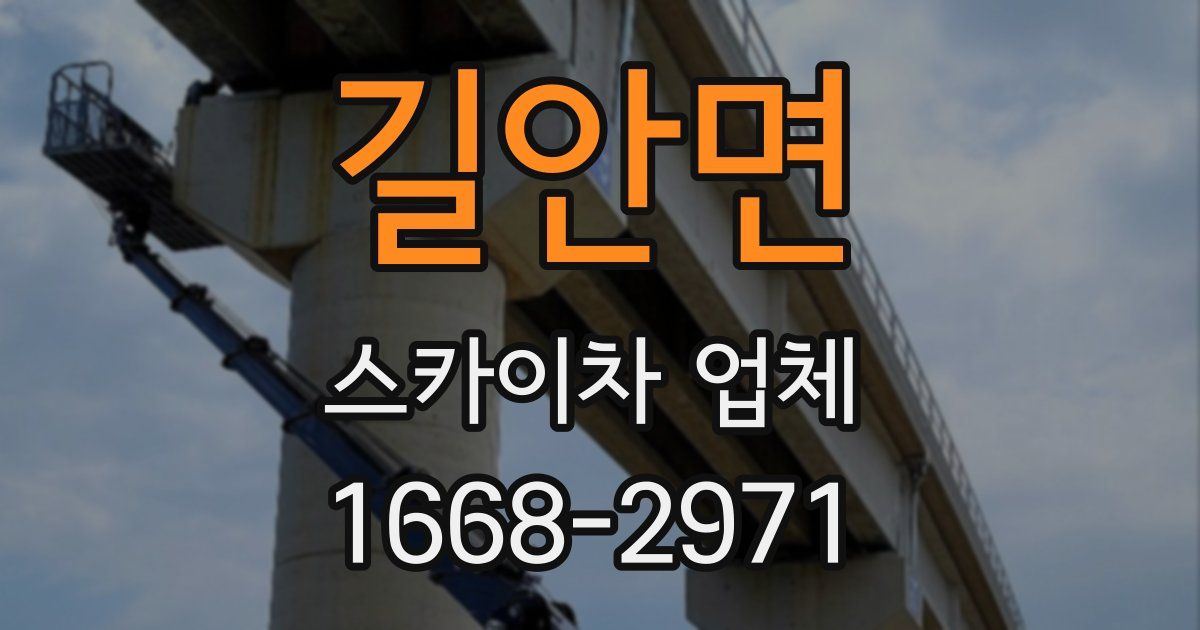 길안면 스카이차 업체