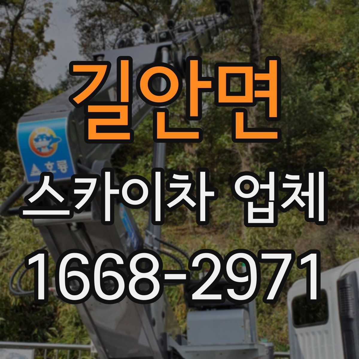 길안면 스카이차 업체