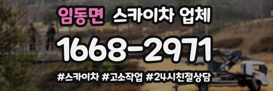 임동면 스카이차 업체