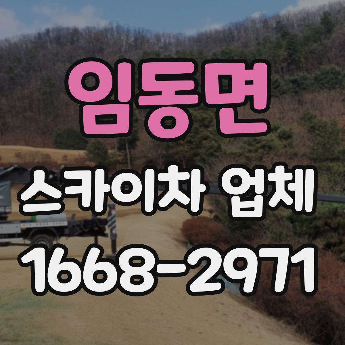 임동면 스카이차 업체