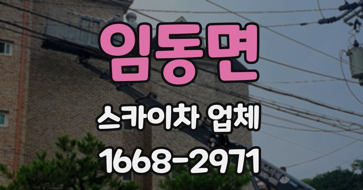 임동면 스카이차 업체