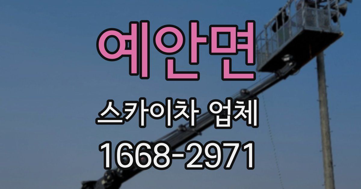 예안면 스카이차 업체