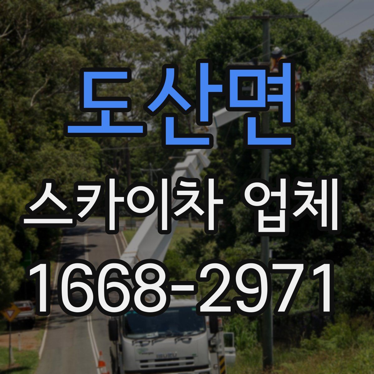 도산면 스카이차 업체