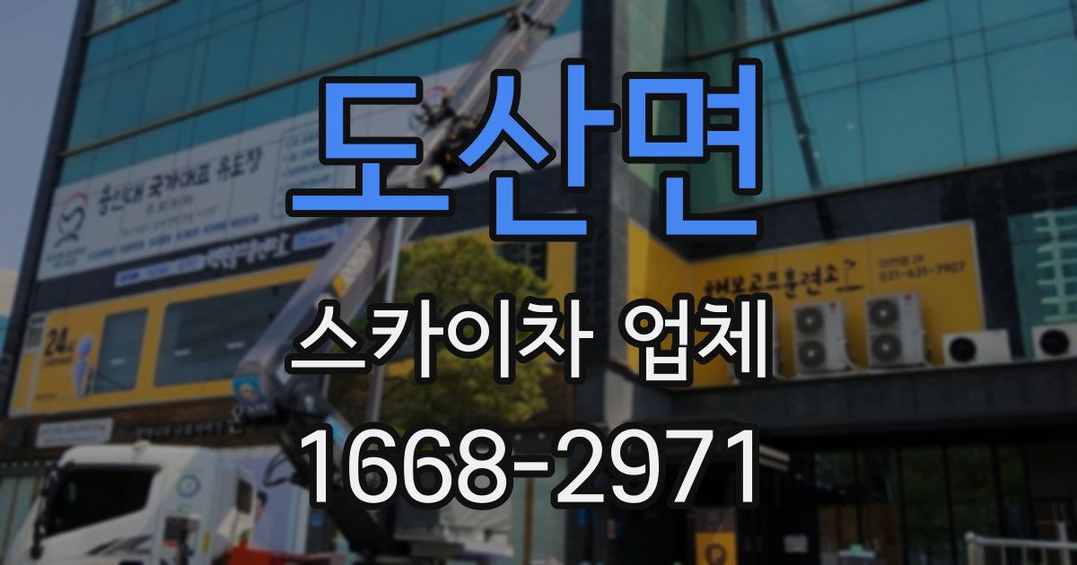 도산면 스카이차 업체