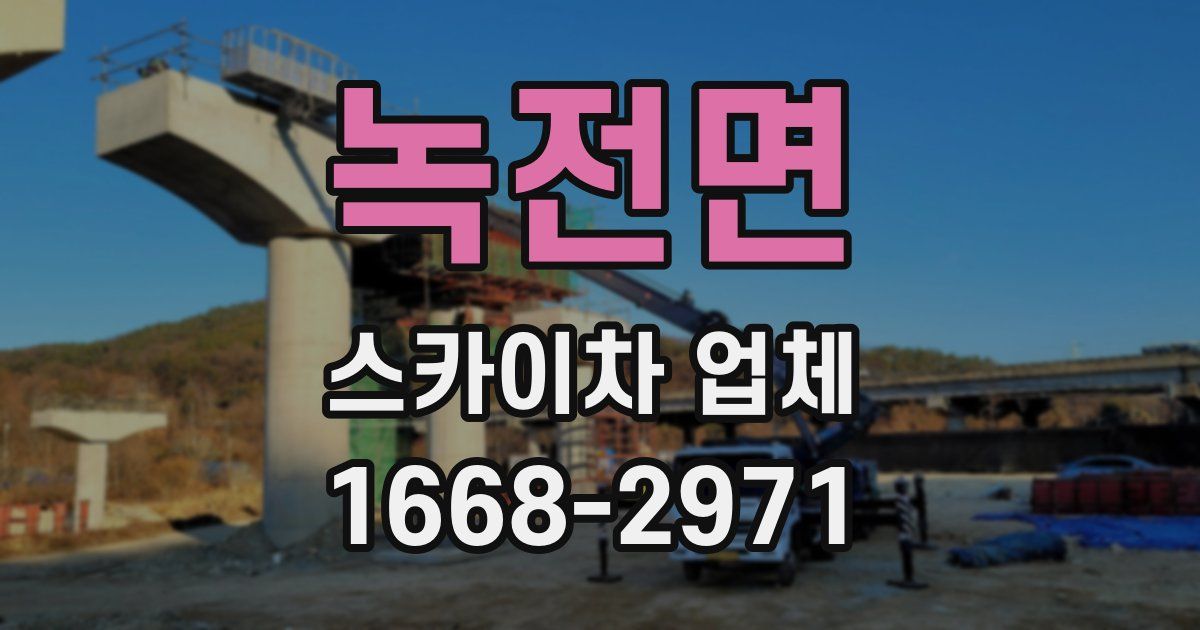 녹전면 스카이차 업체