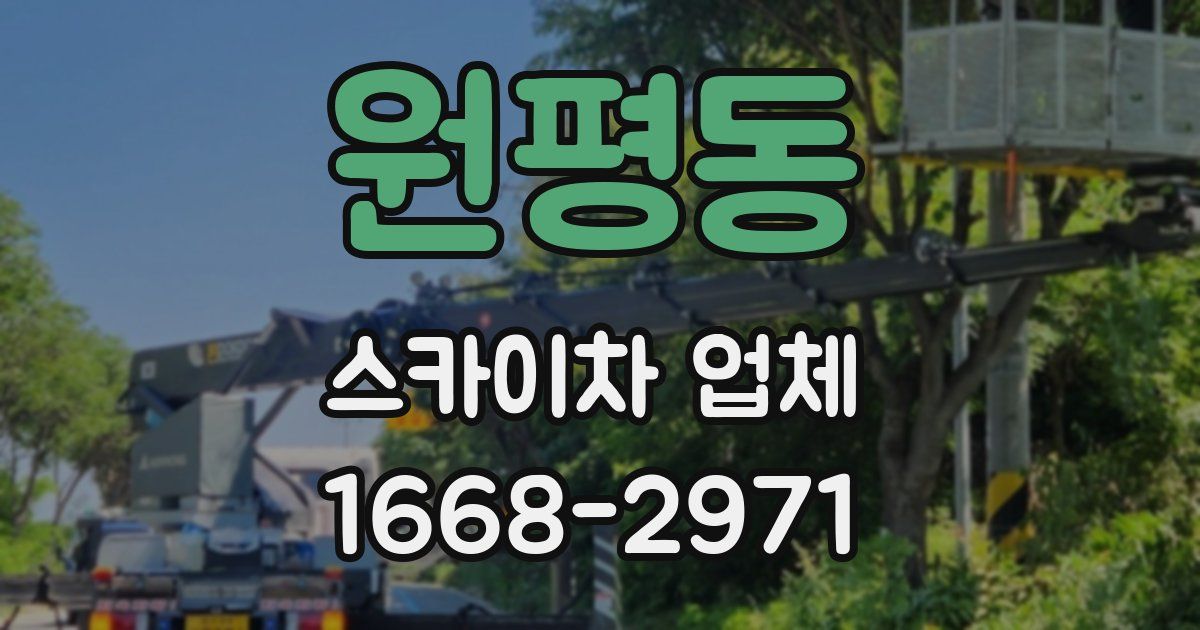 원평동 스카이차 업체