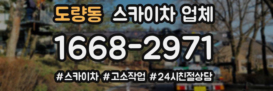 도량동 스카이차 업체