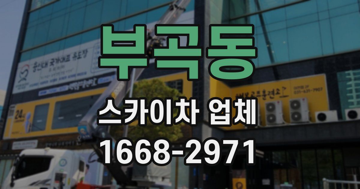 부곡동 스카이차 업체