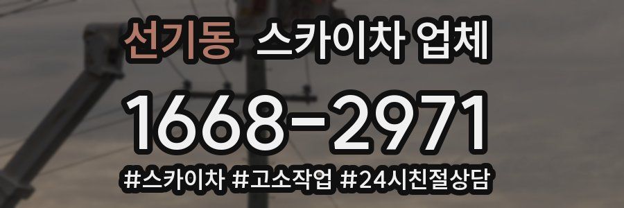 선기동 스카이차 업체