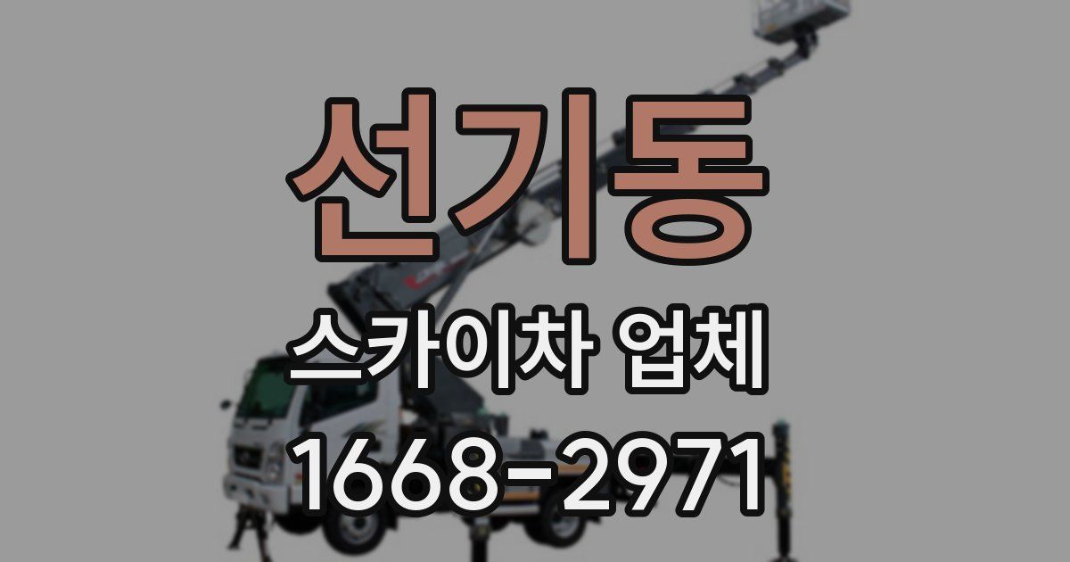 선기동 스카이차 업체