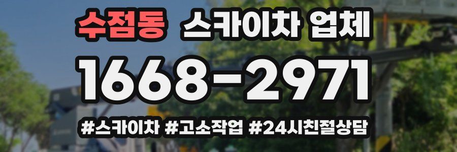 수점동 스카이차 업체