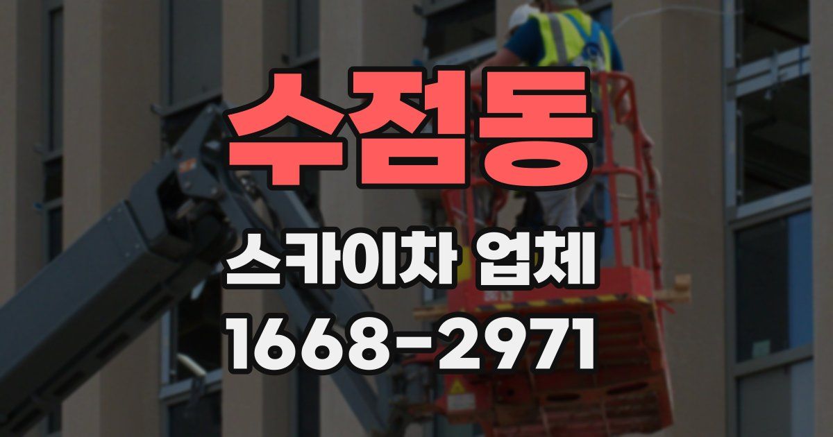 수점동 스카이차 업체