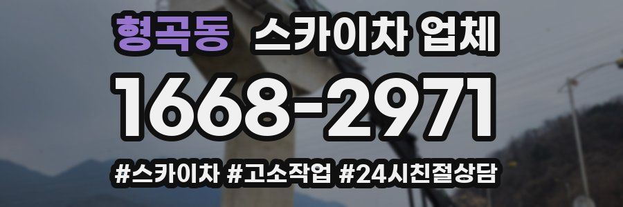 형곡동 스카이차 업체