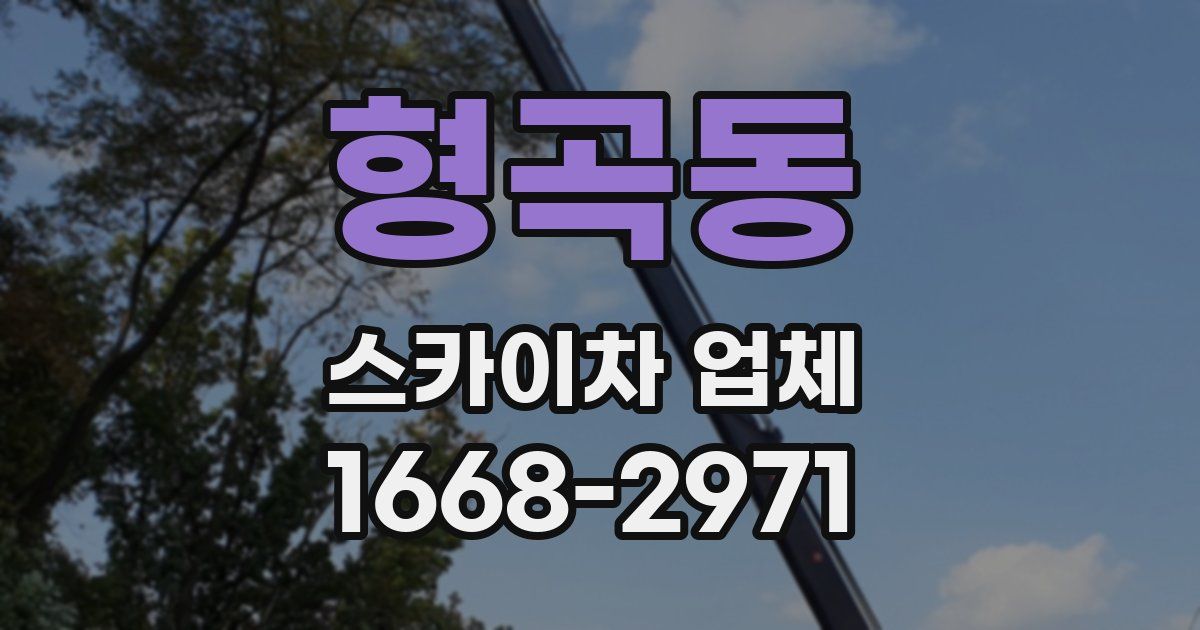 형곡동 스카이차 업체