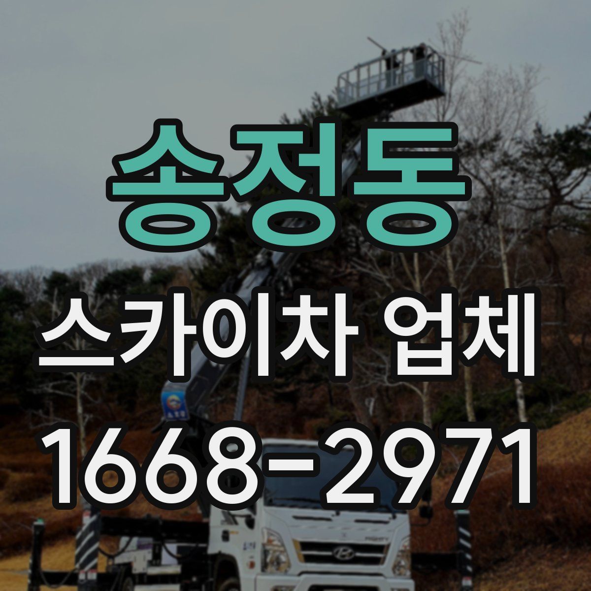 송정동 스카이차 업체