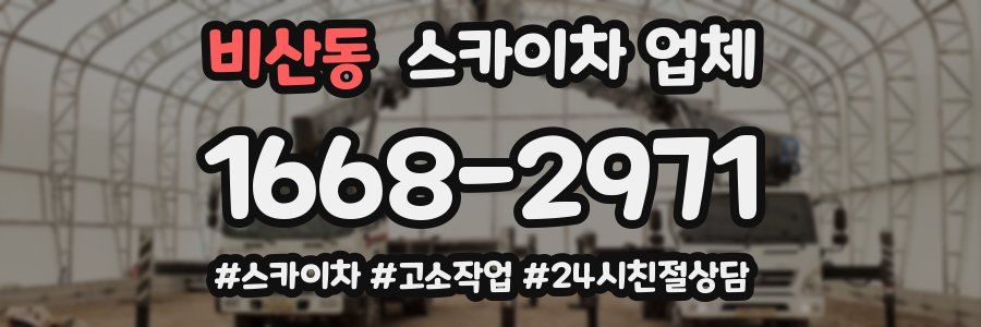 비산동 스카이차 업체