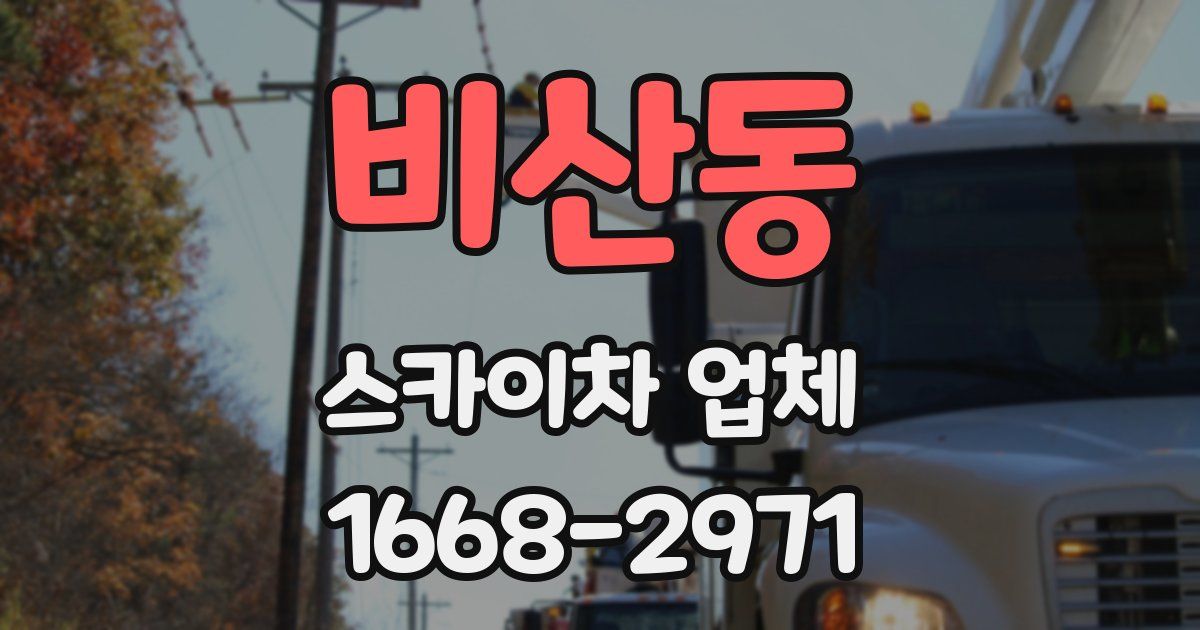 비산동 스카이차 업체