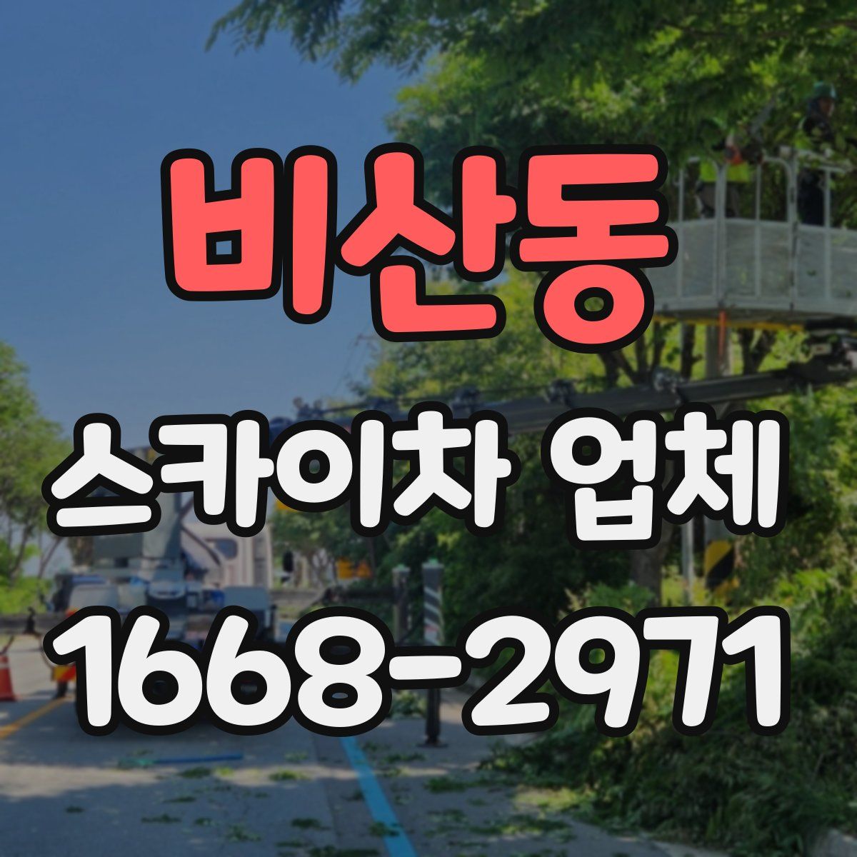 비산동 스카이차 업체
