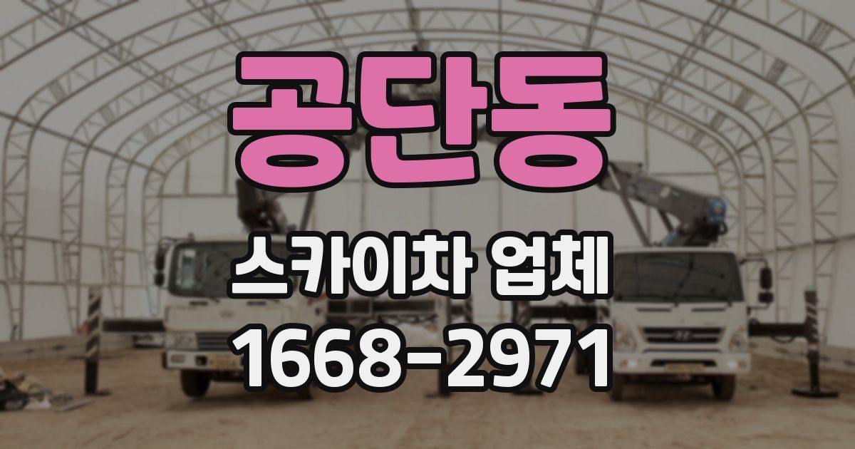 공단동 스카이차 업체