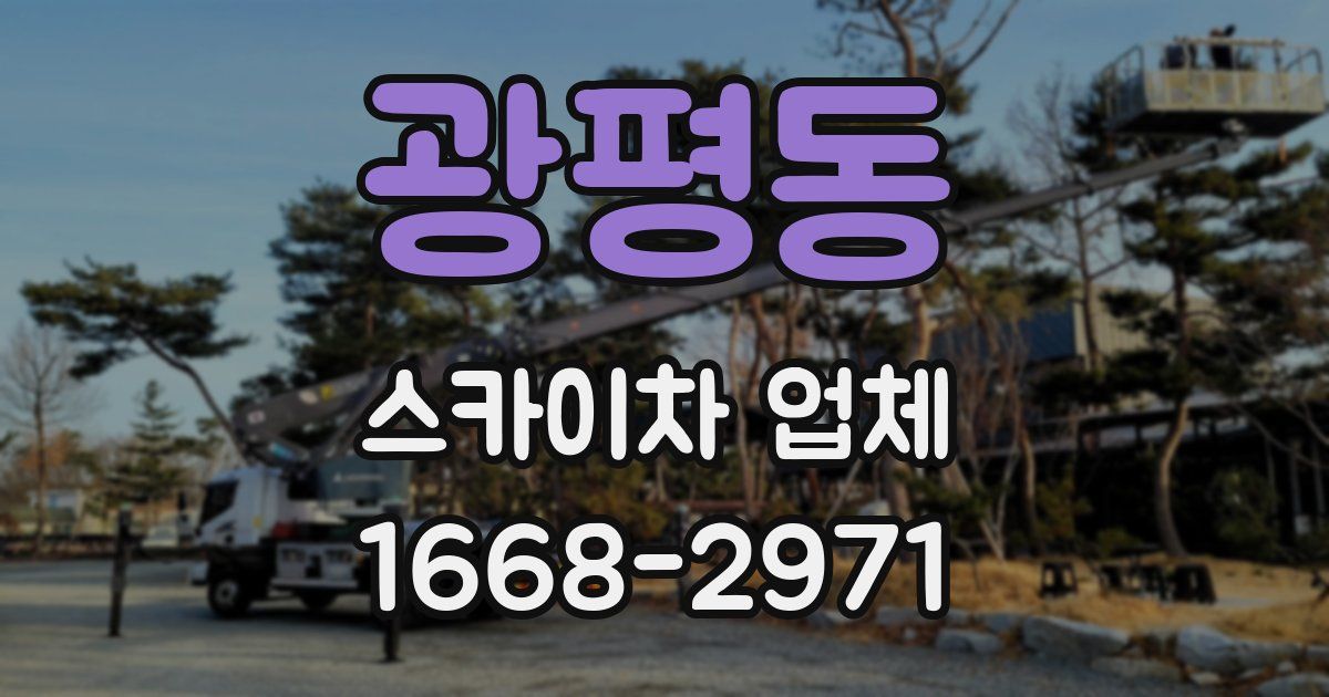 광평동 스카이차 업체