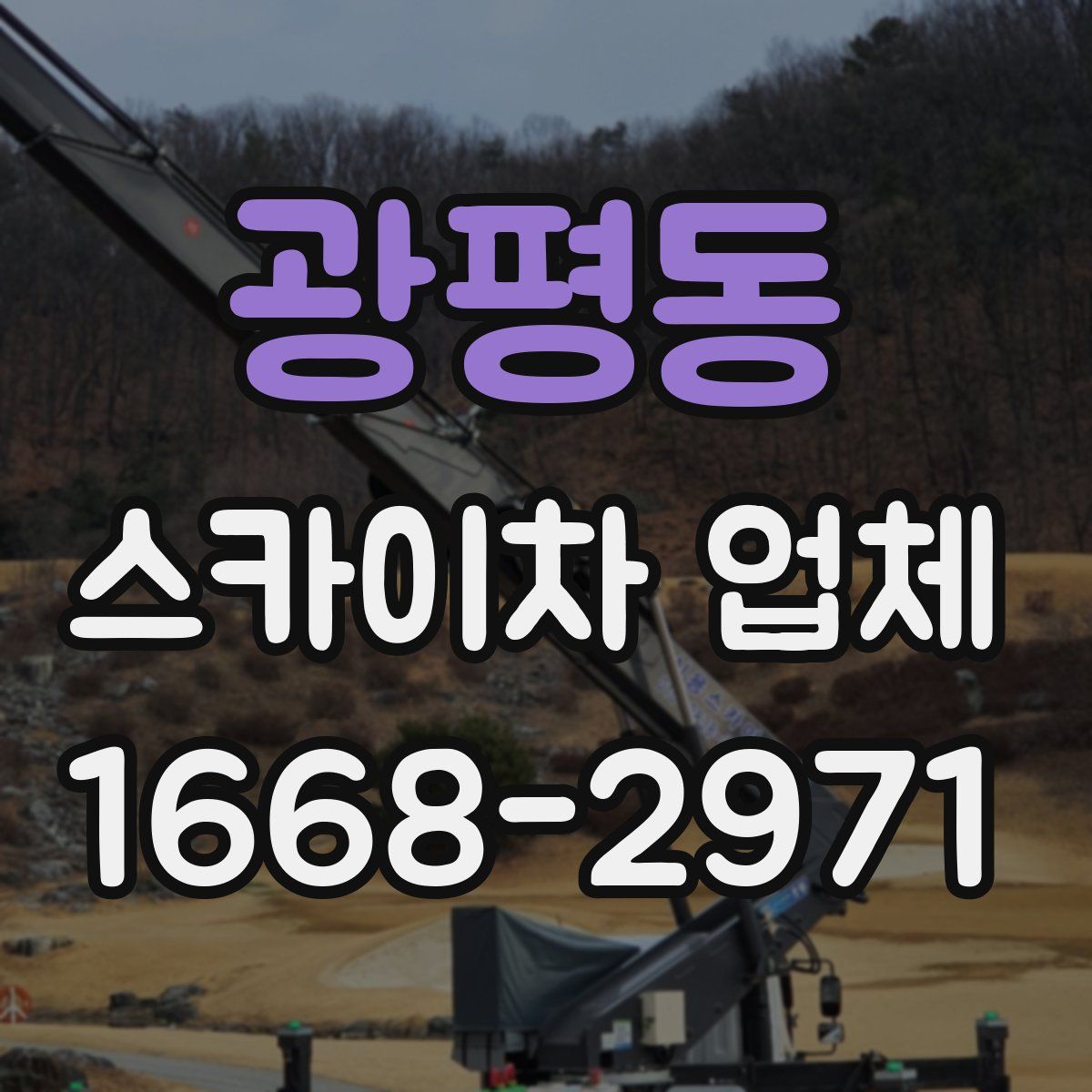광평동 스카이차 업체