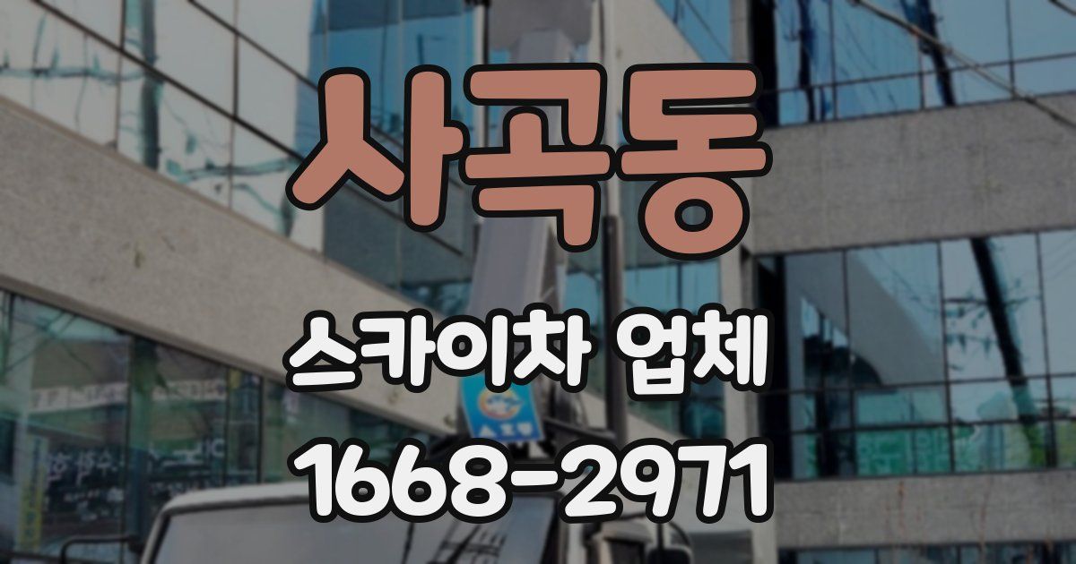 사곡동 스카이차 업체