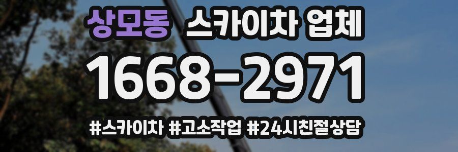 상모동 스카이차 업체