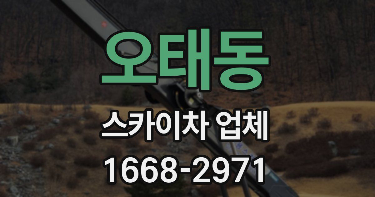 오태동 스카이차 업체