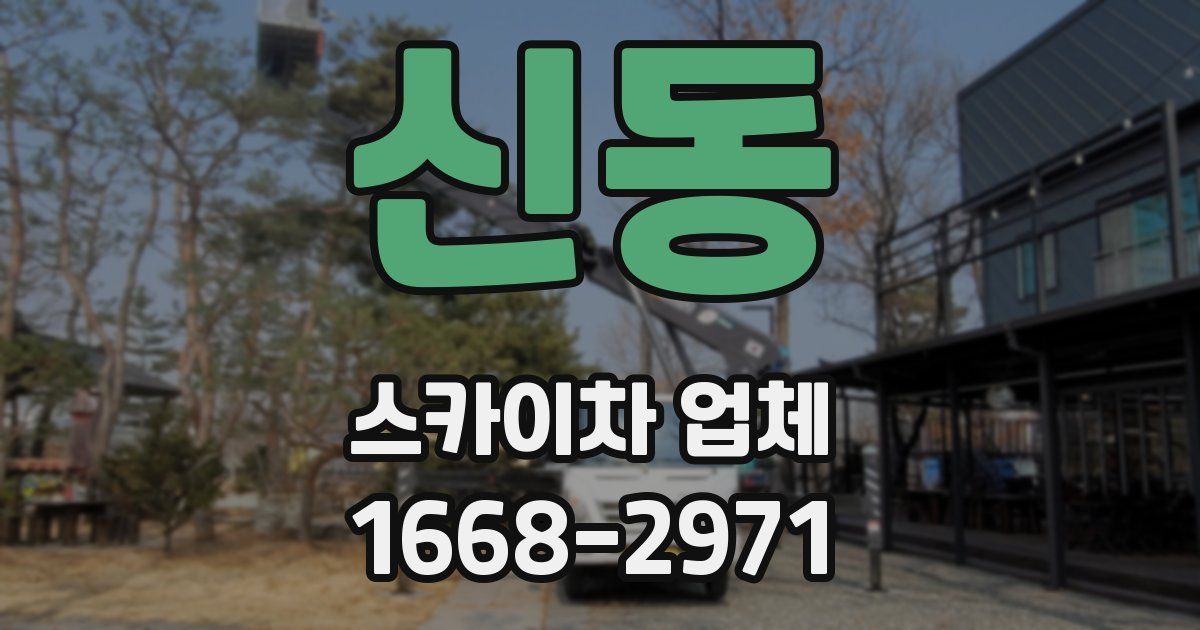 신동 스카이차 업체
