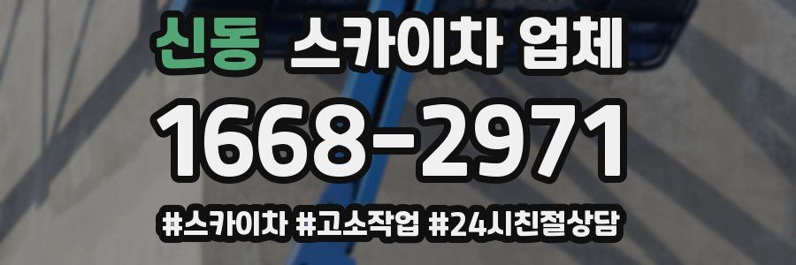신동 스카이차 업체