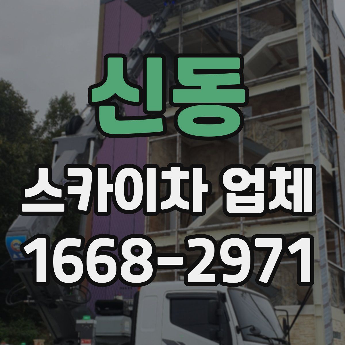 신동 스카이차 업체