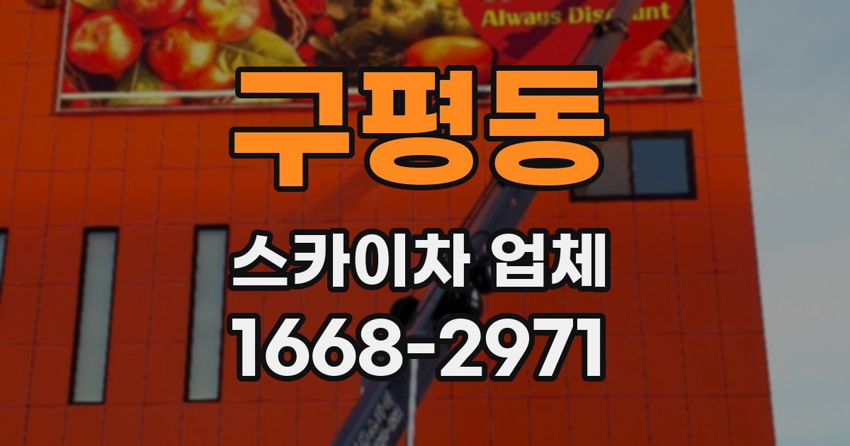 구평동 스카이차 업체