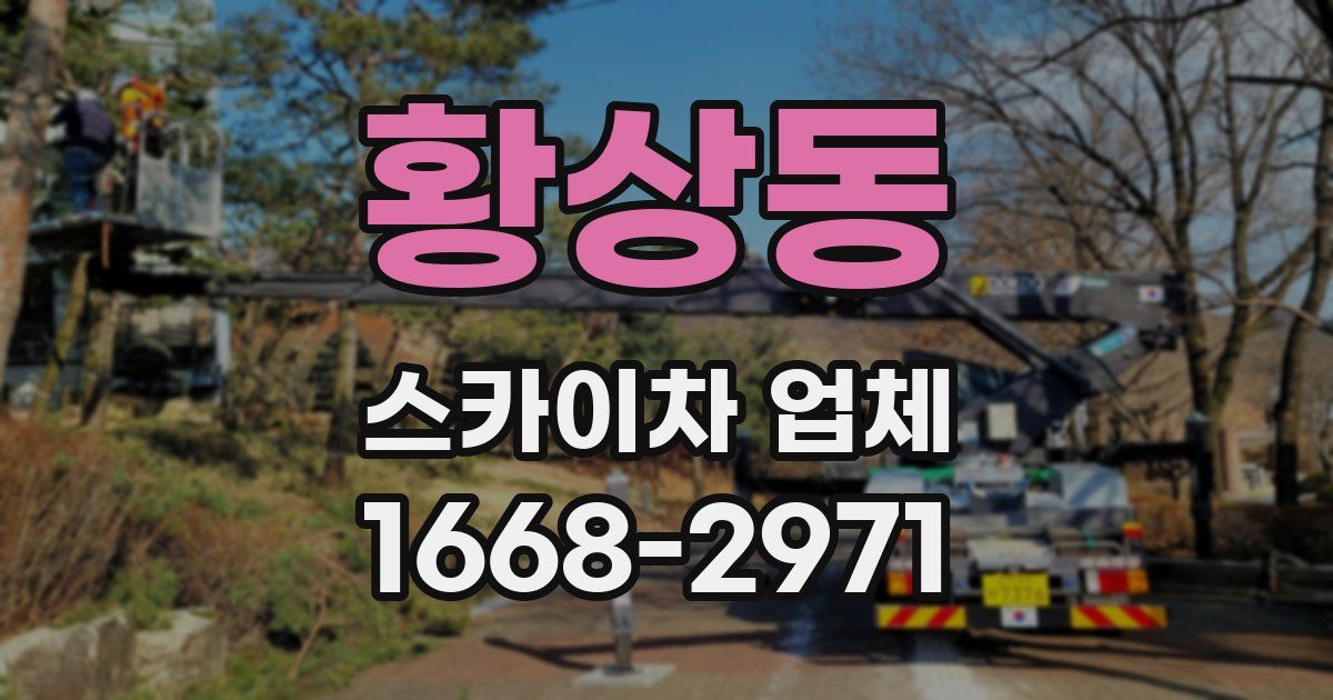 황상동 스카이차 업체